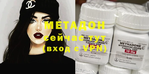 стаф Алзамай