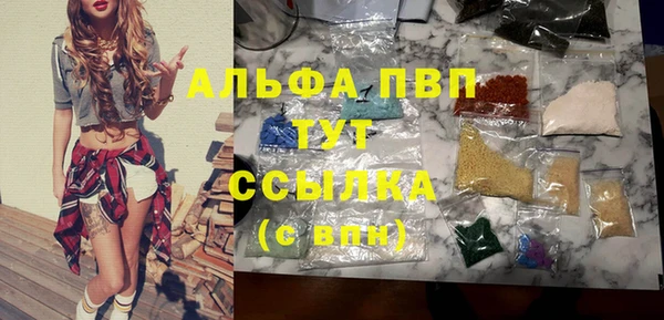 стаф Алзамай