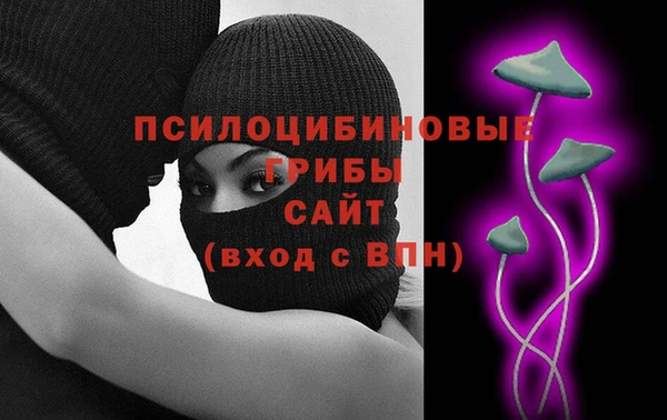 стаф Алзамай