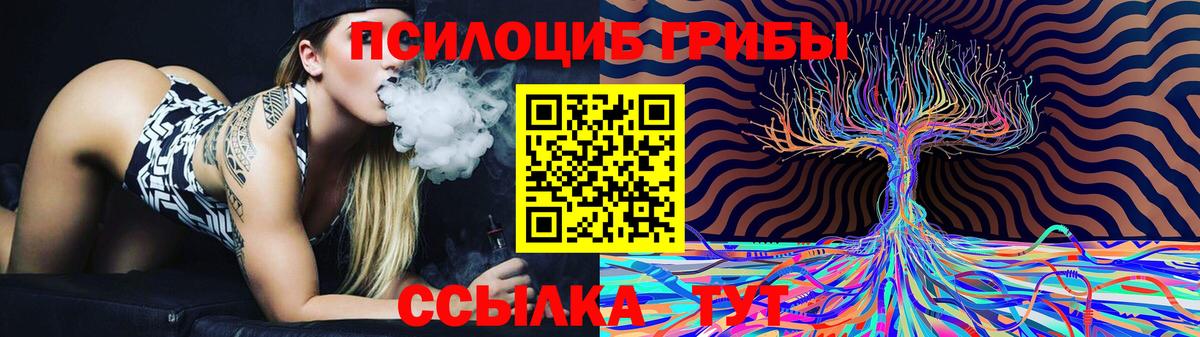 Псилоцибиновые грибы Psilocybe  Вход с VPN  Севастополь 