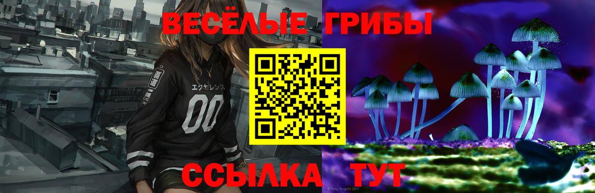 Галлюциногенные грибы Magic Shrooms Севастополь